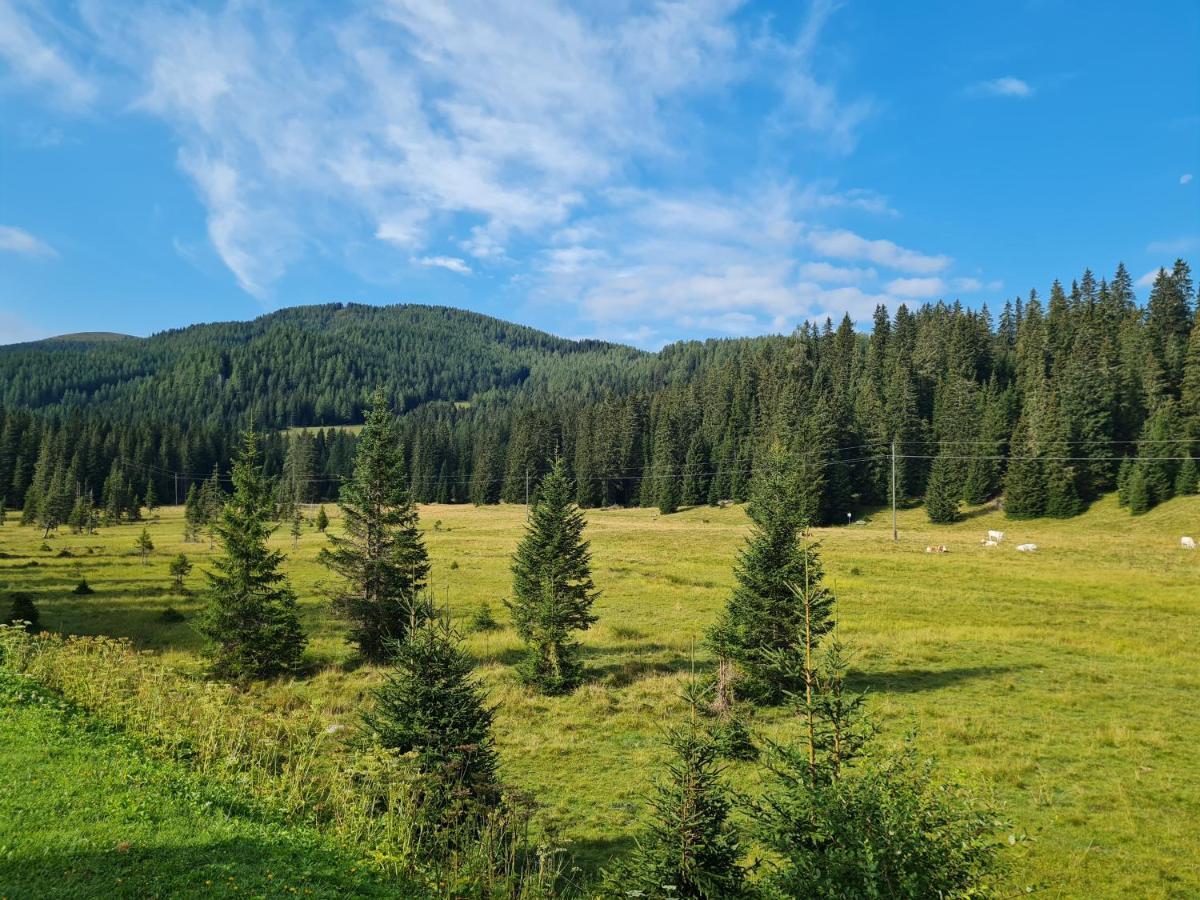 Apartmenthaus Almwiese Flattnitz Екстер'єр фото