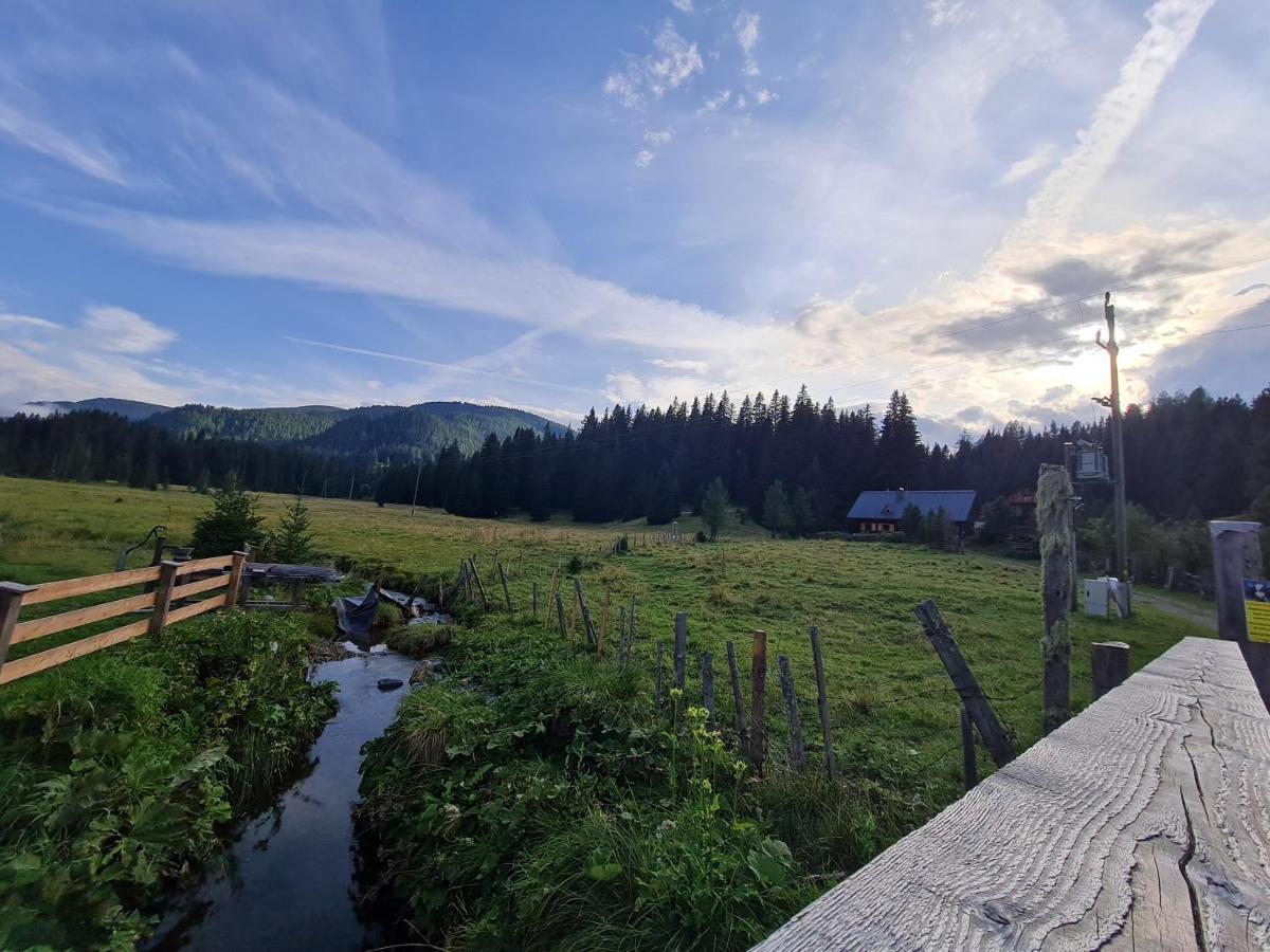 Apartmenthaus Almwiese Flattnitz Екстер'єр фото