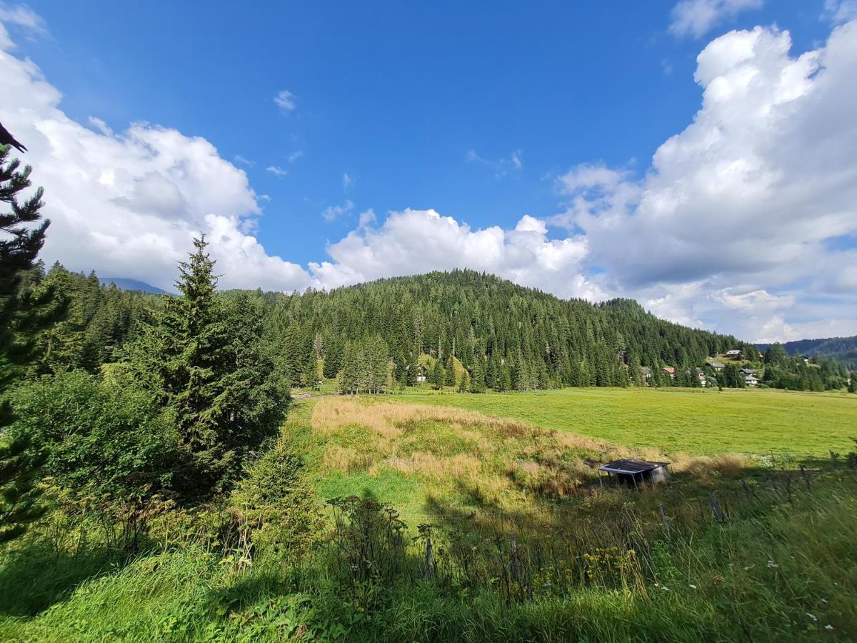 Apartmenthaus Almwiese Flattnitz Екстер'єр фото