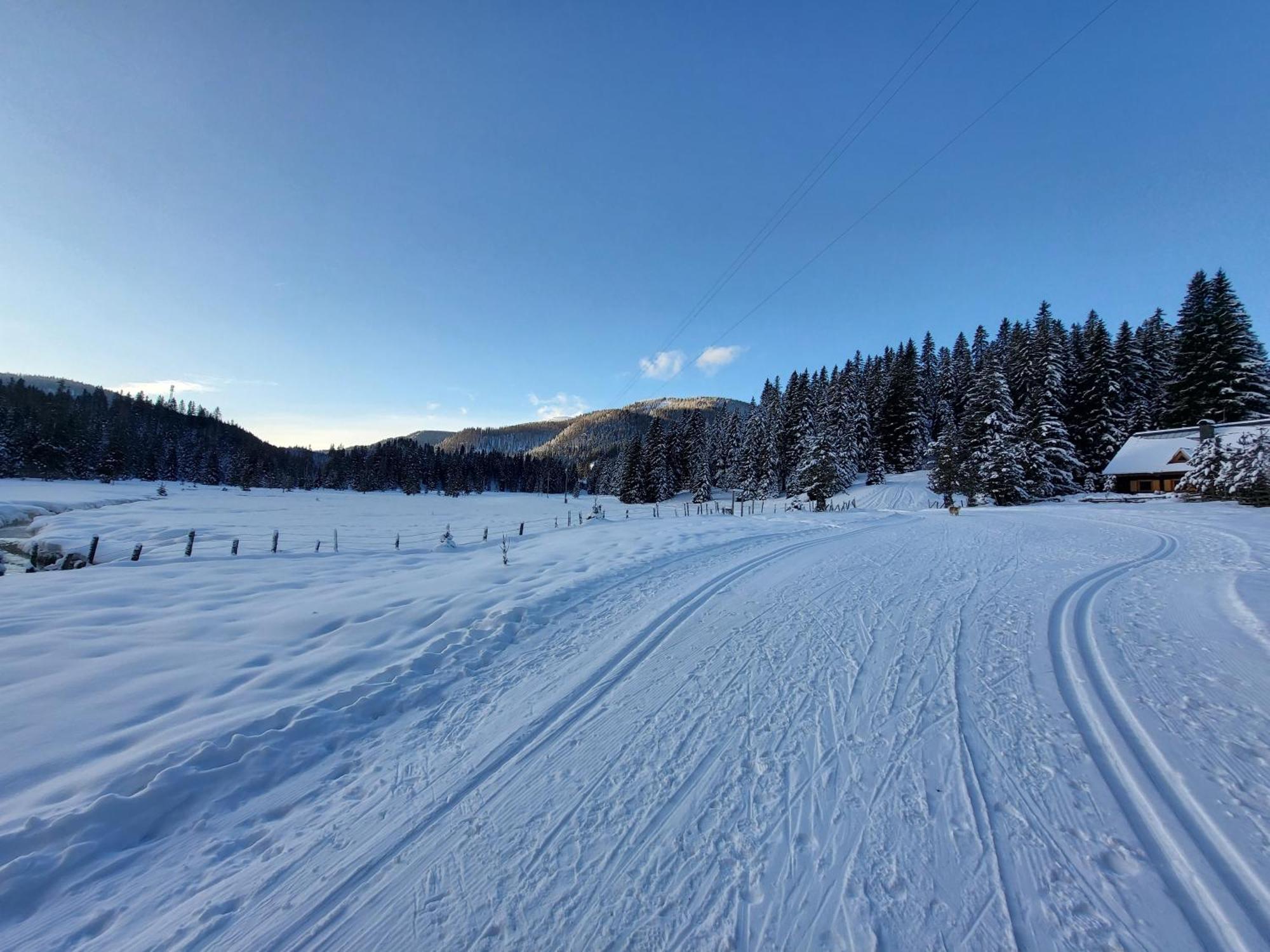Apartmenthaus Almwiese Flattnitz Екстер'єр фото